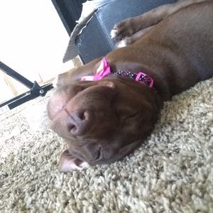 Meet your Posher, Alyciah